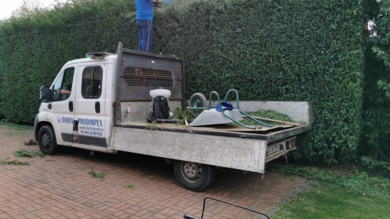 Servicii de mentenanta